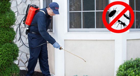Bozyazı Dezenfeksiyon böcek ilaçlama ve haşere kontrolü — ilaclama-tr.com